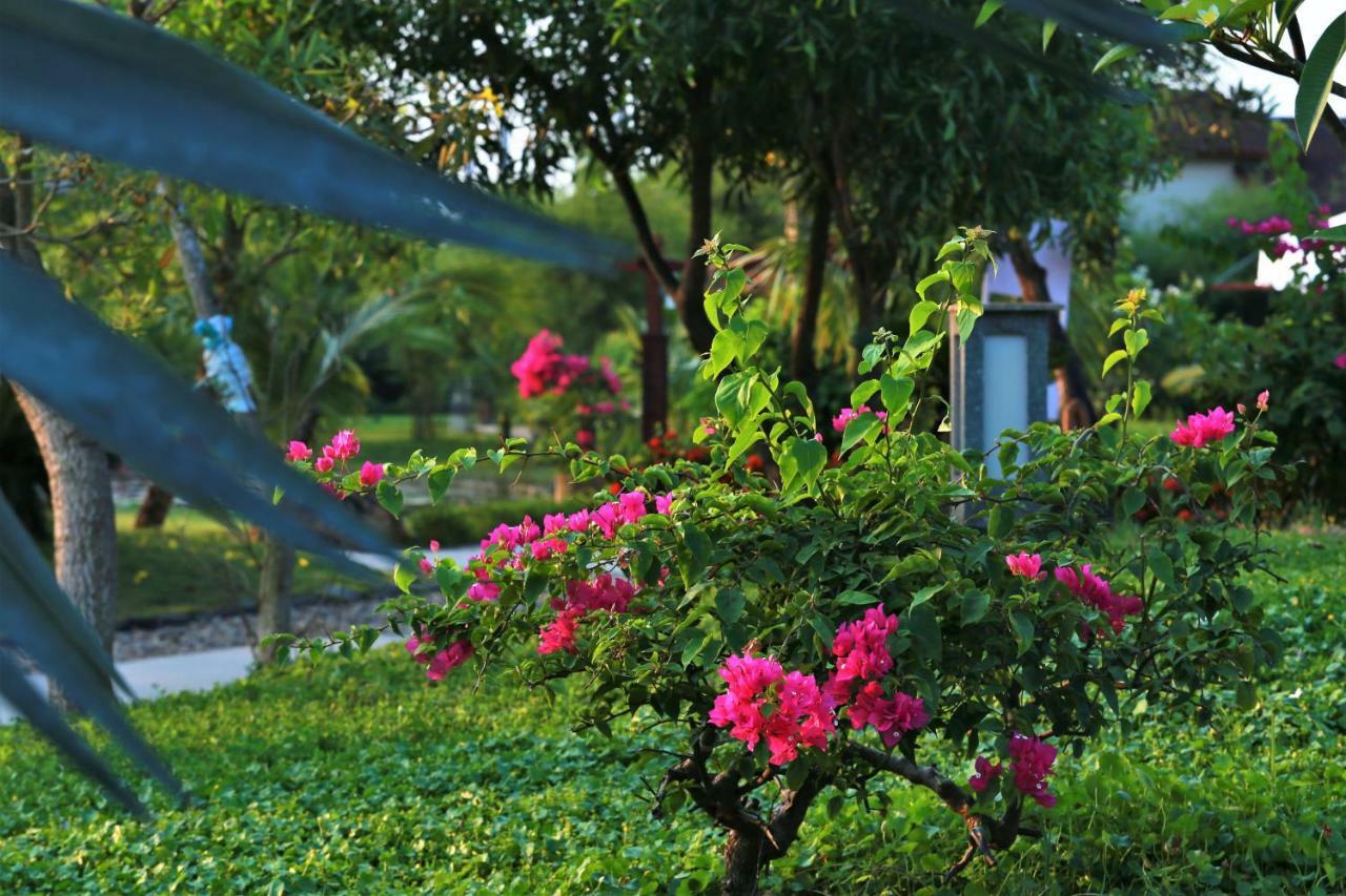 Bao Ninh Beach Resort 동허이 외부 사진